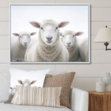 White Minimalist Whie Sheep's - Sheep Living Room Wall Art