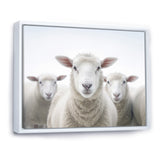 White Minimalist Whie Sheep's - Sheep Living Room Wall Art