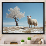 Sheep Minimalist Solitude - Sheep Wall Art Prints