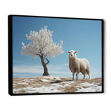 Sheep Minimalist Solitude - Sheep Wall Art Prints