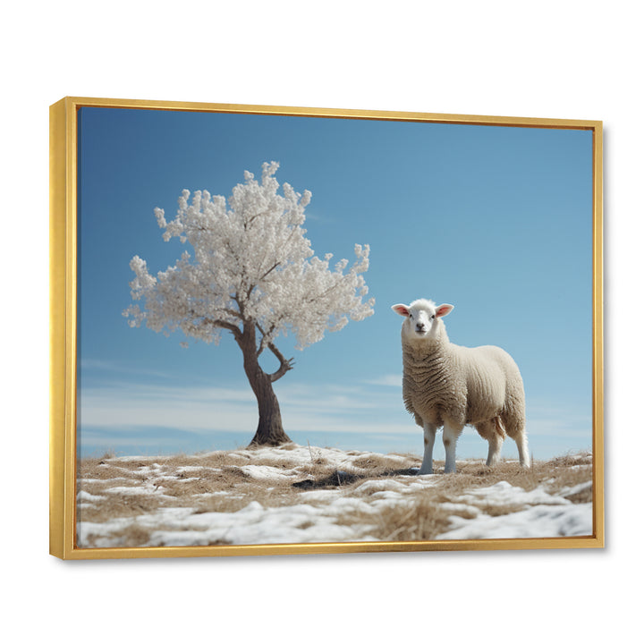 Sheep Minimalist Solitude - Sheep Wall Art Prints
