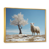 Sheep Minimalist Solitude - Sheep Wall Art Prints