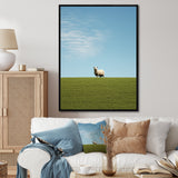 Sheep Minimalistic Solitude - Sheep Wall Art Prints