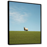 Sheep Minimalistic Solitude - Sheep Wall Art Prints