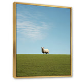 Sheep Minimalistic Solitude - Sheep Wall Art Prints