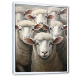 Realistic Sheep's Portrait - Sheep Canvas Wall Art