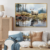 Sheep Reflection - Sheep Wall Art Prints