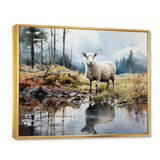 Sheep Reflection - Sheep Wall Art Prints