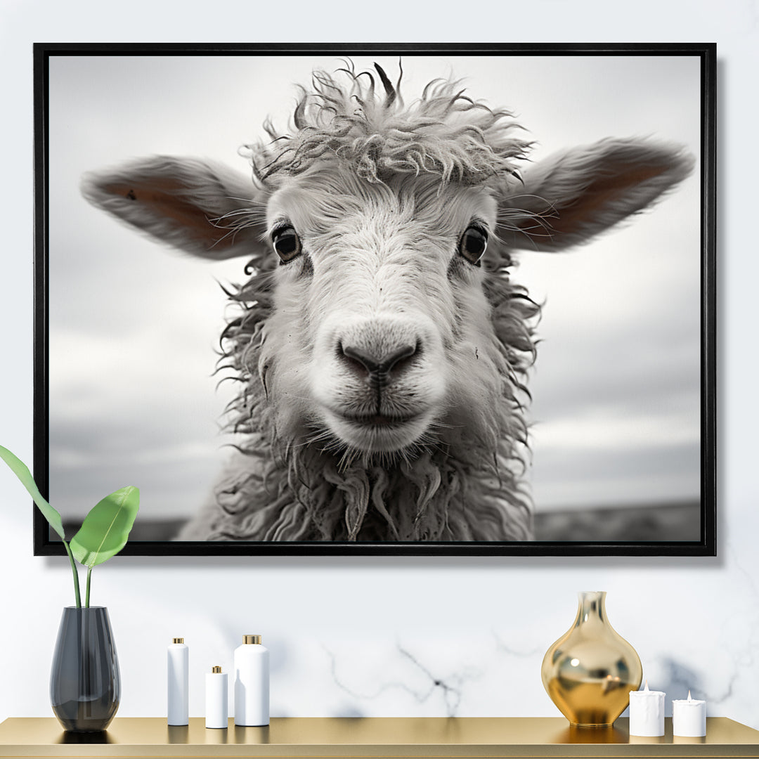 Sheep Serenity - Gray Sheep Wall Art