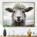 Sheep Serenity - Gray Sheep Wall Art