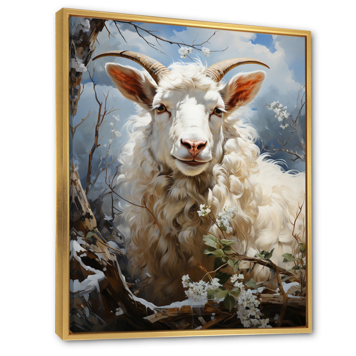 White Sheep&