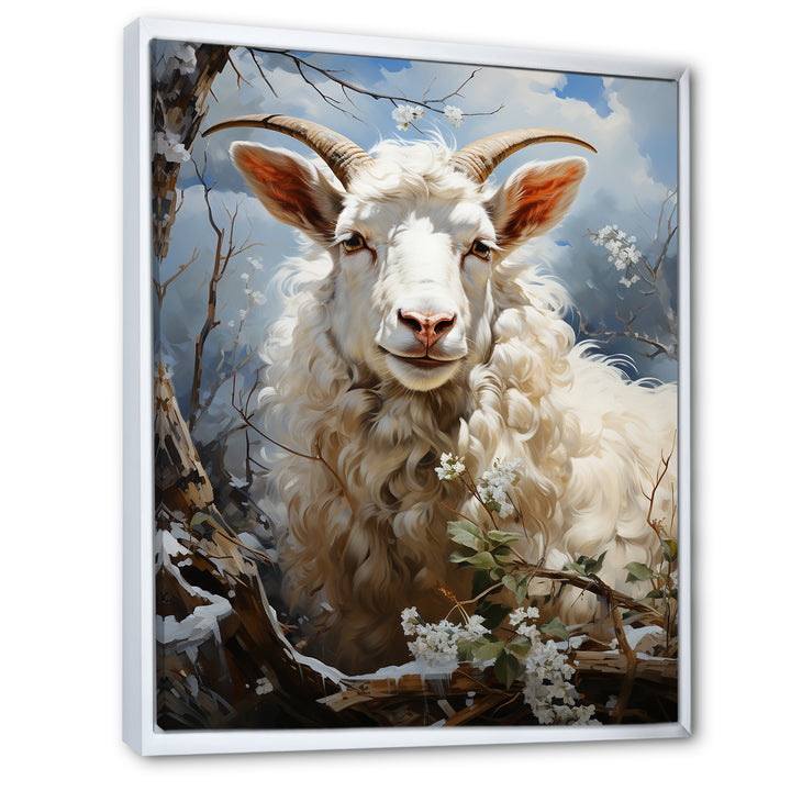 White Sheep&