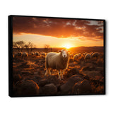Sheep Silhouette At Sunrise - Sheep Large Canvas Wall Art