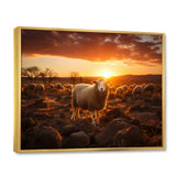 Sheep Silhouette At Sunrise - Sheep Large Canvas Wall Art