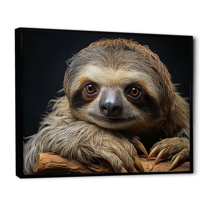 Cute Sloth Portrait - Brown Sloth Wall Art