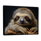 Cute Sloth Portrait - Brown Sloth Wall Art