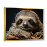 Cute Sloth Portrait - Brown Sloth Wall Art