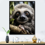 Sloth Portrait Vibrant - Sloth Framed Canvas Art