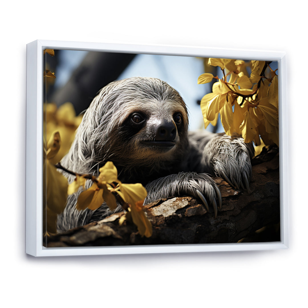 Sloth Slow Motion Portrait - Sloth Home Decor Art