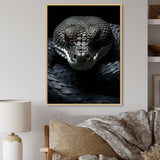 Black Snake Vibrant Portrait - Snake Canvas Wall Art