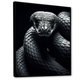 Black Snake Slithering Grace - Snake Wall Decor