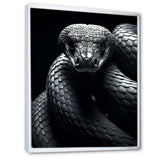 Black Snake Slithering Grace - Snake Wall Decor
