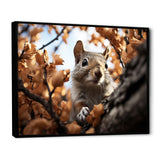 Grey Squirrel Squirrels Antics - Gray Squirrel Wall Art