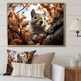 Grey Squirrel Squirrels Antics - Gray Squirrel Wall Art