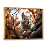 Grey Squirrel Squirrels Antics - Gray Squirrel Wall Art