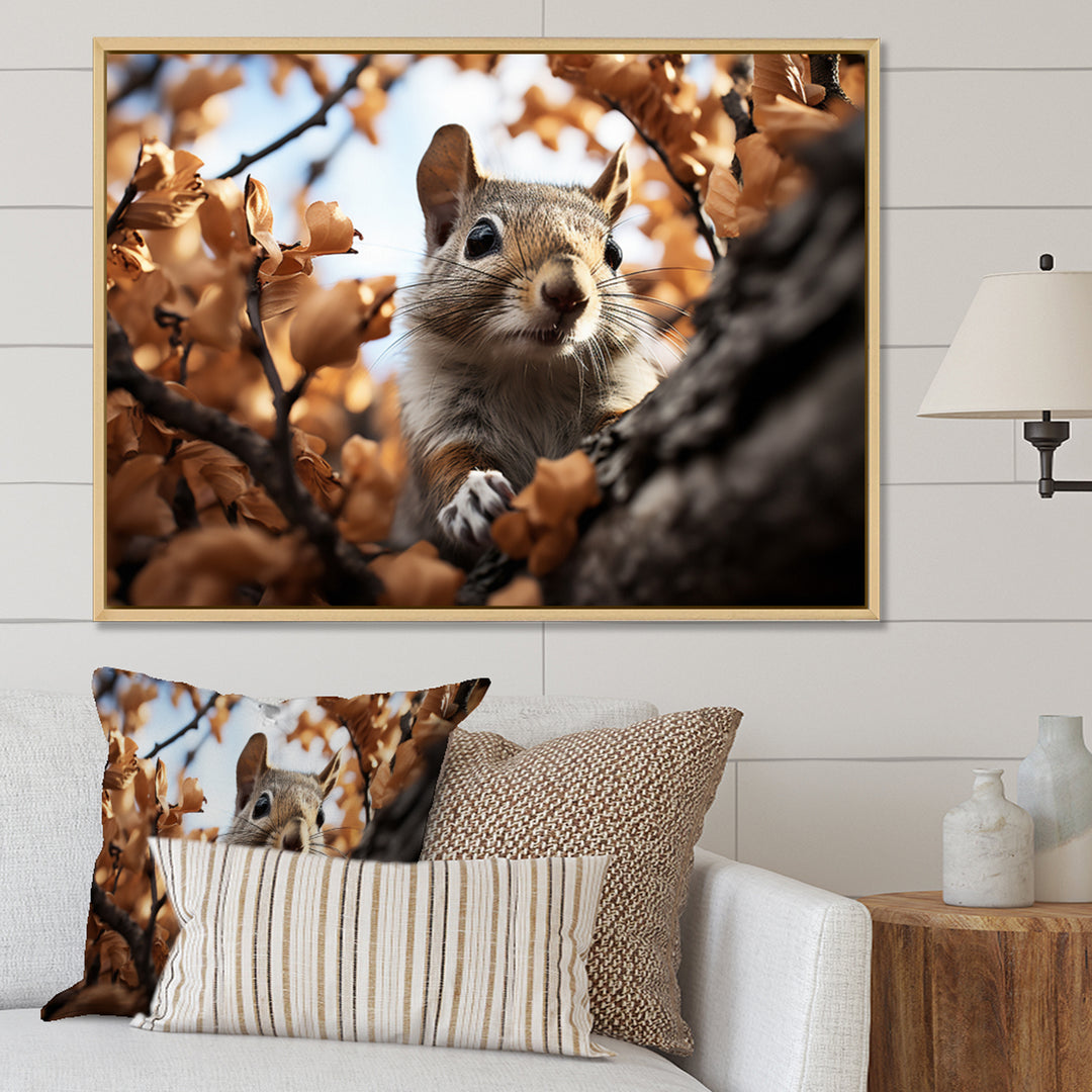 Grey Squirrel Squirrels Antics - Gray Squirrel Wall Art