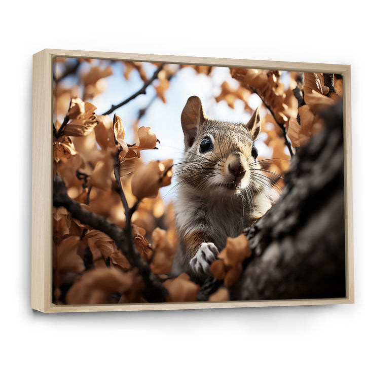 Grey Squirrel Squirrels Antics - Gray Squirrel Wall Art