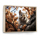 Grey Squirrel Squirrels Antics - Gray Squirrel Wall Art