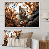 Grey Squirrel Squirrels Antics - Gray Squirrel Wall Art