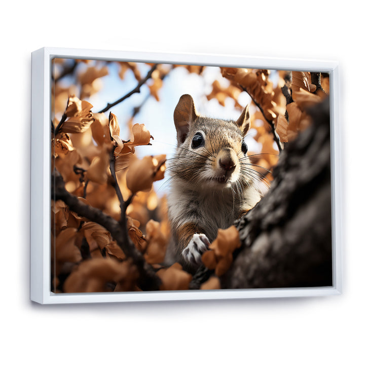 Grey Squirrel Squirrels Antics - Gray Squirrel Wall Art