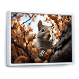 Grey Squirrel Squirrels Antics - Gray Squirrel Wall Art