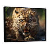 Leopard Wildlife Encounters - Tiger Wall Art Prints