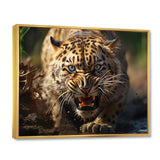 Leopard Wildlife Encounters - Tiger Wall Art Prints