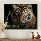 Brown Tiger Portrait - Tiger Framed Canvas Art