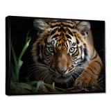 Brown Tiger Portrait - Tiger Framed Canvas Art