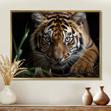 Brown Tiger Portrait - Tiger Framed Canvas Art