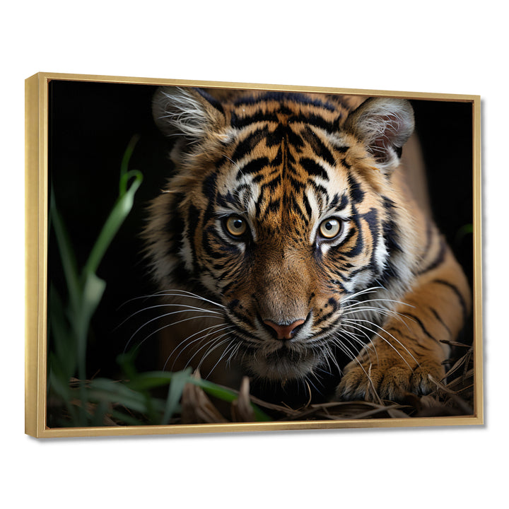 Brown Tiger Portrait - Tiger Framed Canvas Art