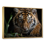 Brown Tiger Portrait - Tiger Framed Canvas Art