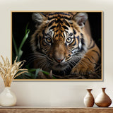 Brown Tiger Portrait - Tiger Framed Canvas Art
