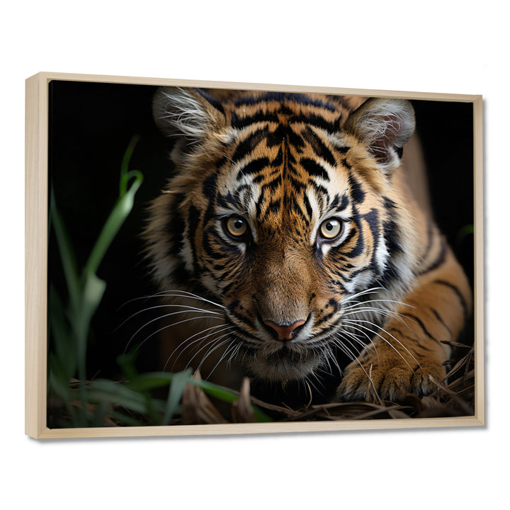 Brown Tiger Portrait - Tiger Framed Canvas Art