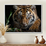 Brown Tiger Portrait - Tiger Framed Canvas Art