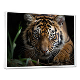Brown Tiger Portrait - Tiger Framed Canvas Art