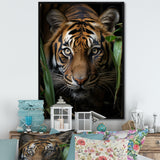 Tiger Portrait Vibrant - Tiger Large Canvas Wall Art