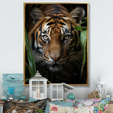 Tiger Portrait Vibrant - Tiger Large Canvas Wall Art