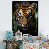 Tiger Portrait Vibrant - Tiger Large Canvas Wall Art