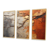 Orange Grey Abstract Redwood Tree Collage - Split Panel Canvas Art